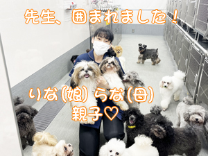 先生たちもモデル犬のお世話☆
